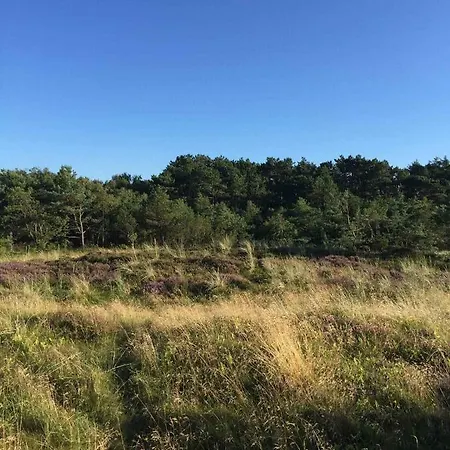 Cozy By Beautiful And Forest Hébergement de vacances Nykøbing Sjælland