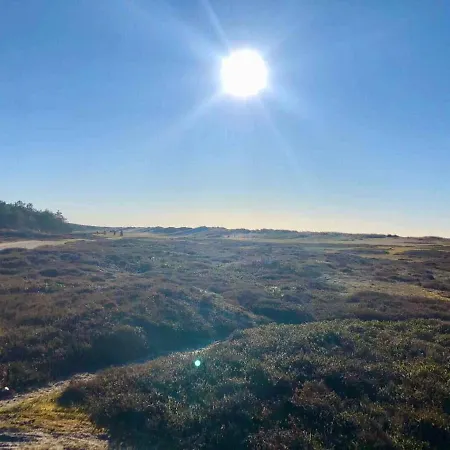 Cozy By Beautiful And Forest Hébergement de vacances Nykøbing Sjælland