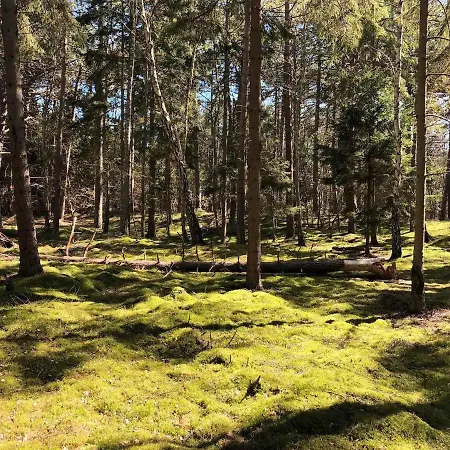 Hébergement de vacances Cozy By Beautiful And Forest