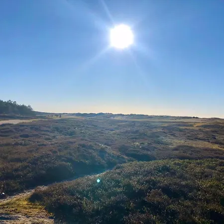 Nyaraló Cozy By Beautiful And Forest Nykøbing Sjælland