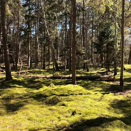 Cozy By Beautiful And Forest Nykøbing Sjælland