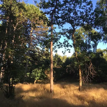 Cozy By Beautiful And Forest Nyaraló