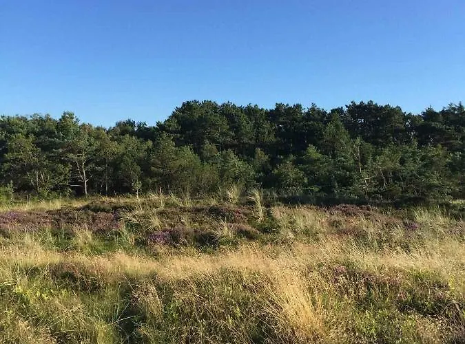 Cozy By Beautiful And Forest Nyaraló Nykøbing Sjælland