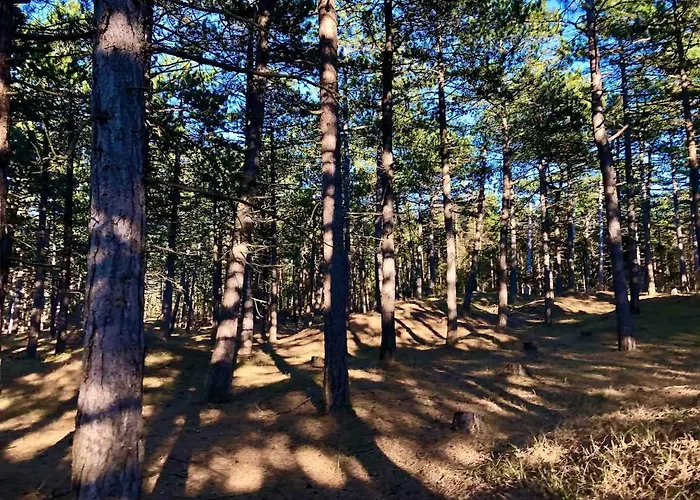 Cozy By Beautiful And Forest Nyaraló *