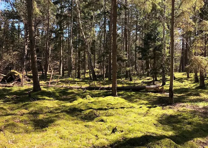 Nyaraló Cozy By Beautiful And Forest