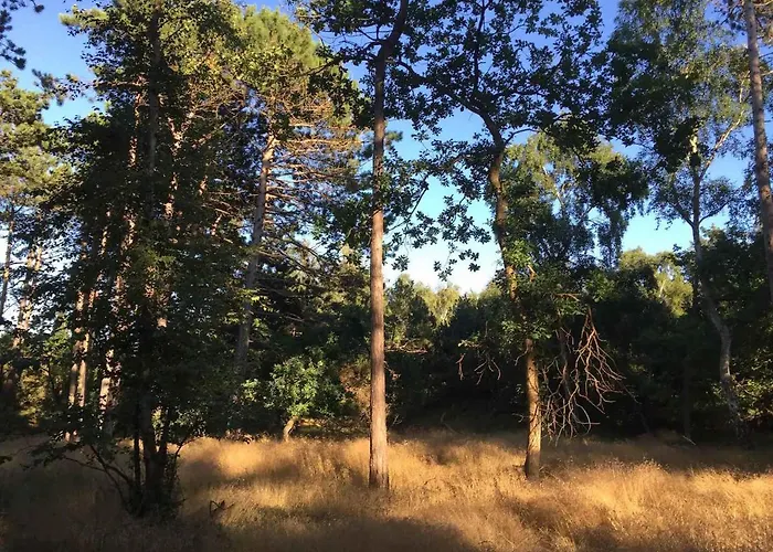 Cozy By Beautiful And Forest Nyaraló